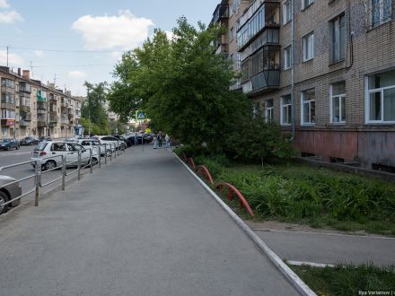 Забор головного мозга