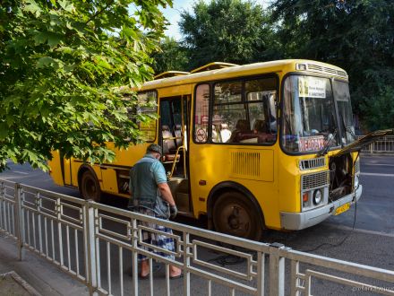 Оставьте ПАЗики картофельным полям!