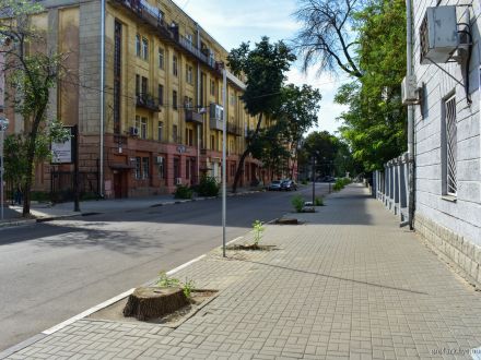Тайна пеньков вдоль дороги