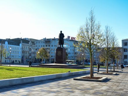 Новые московские деревья